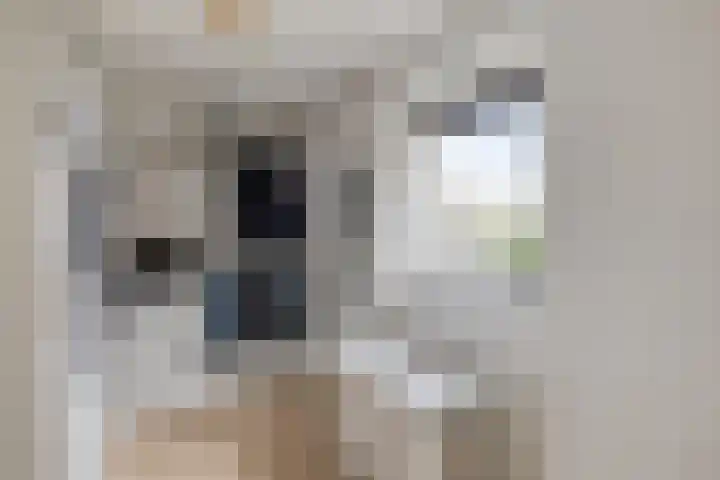 Forintdreef 1 Woerden thumbnail 22