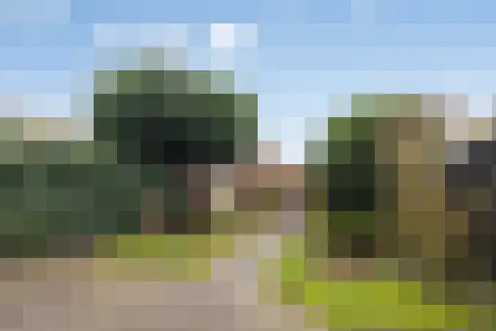 Forintdreef 1 Woerden thumbnail 31