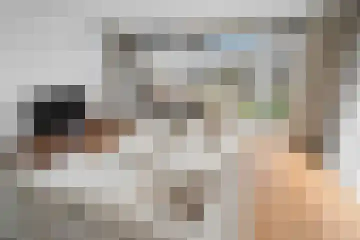 Forintdreef 33 Woerden thumbnail 12
