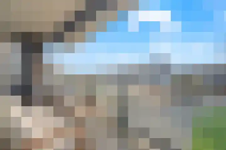 Forintdreef 33 Woerden thumbnail 15