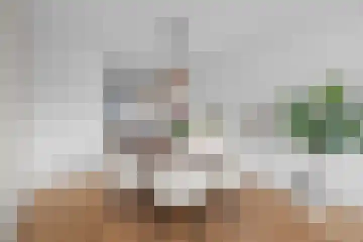 Forintdreef 33 Woerden thumbnail 19