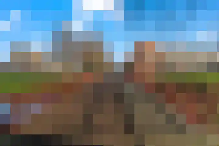 Forintdreef 33 Woerden thumbnail 31