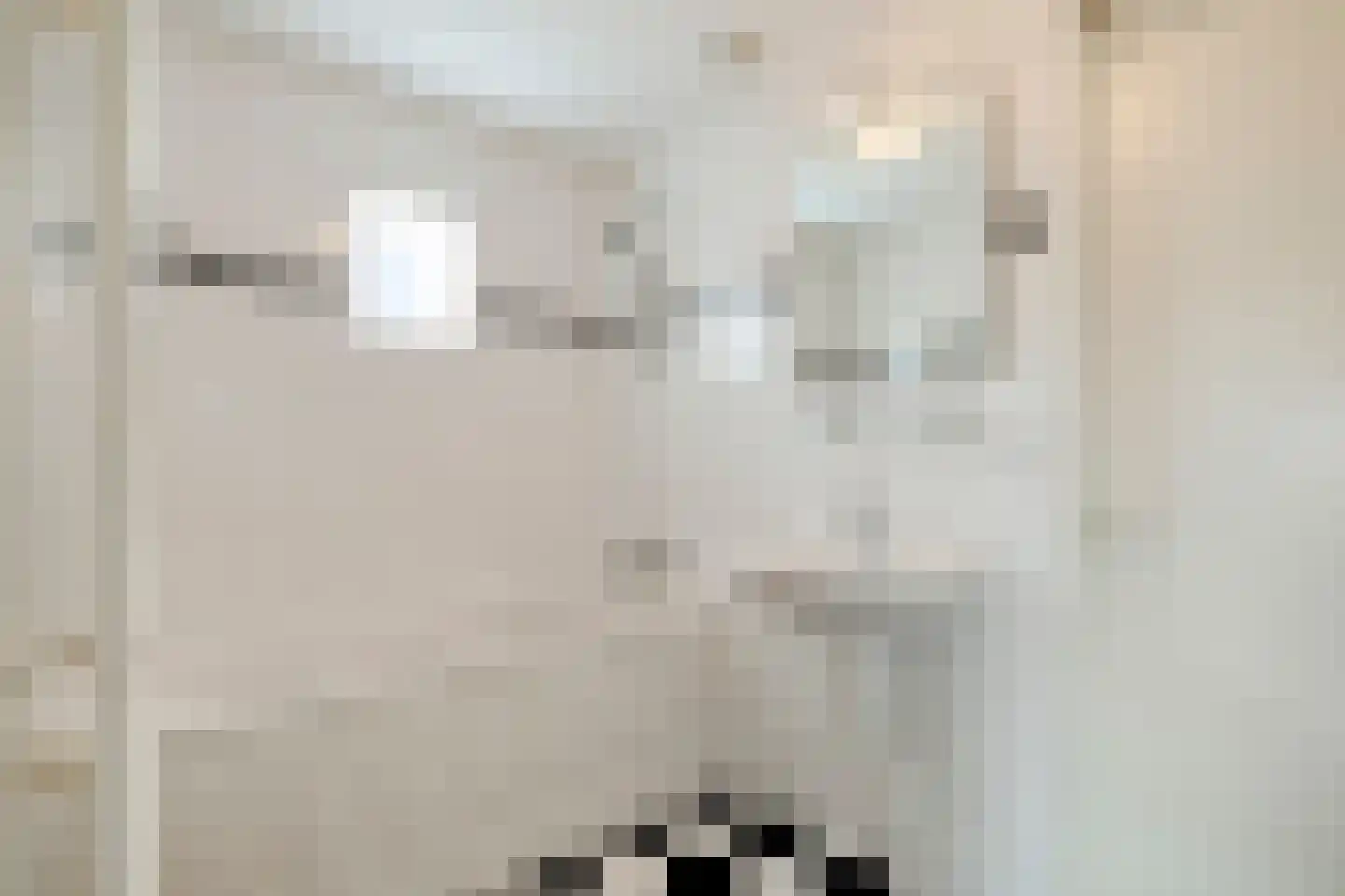 Forintdreef 41 Woerden thumbnail 24