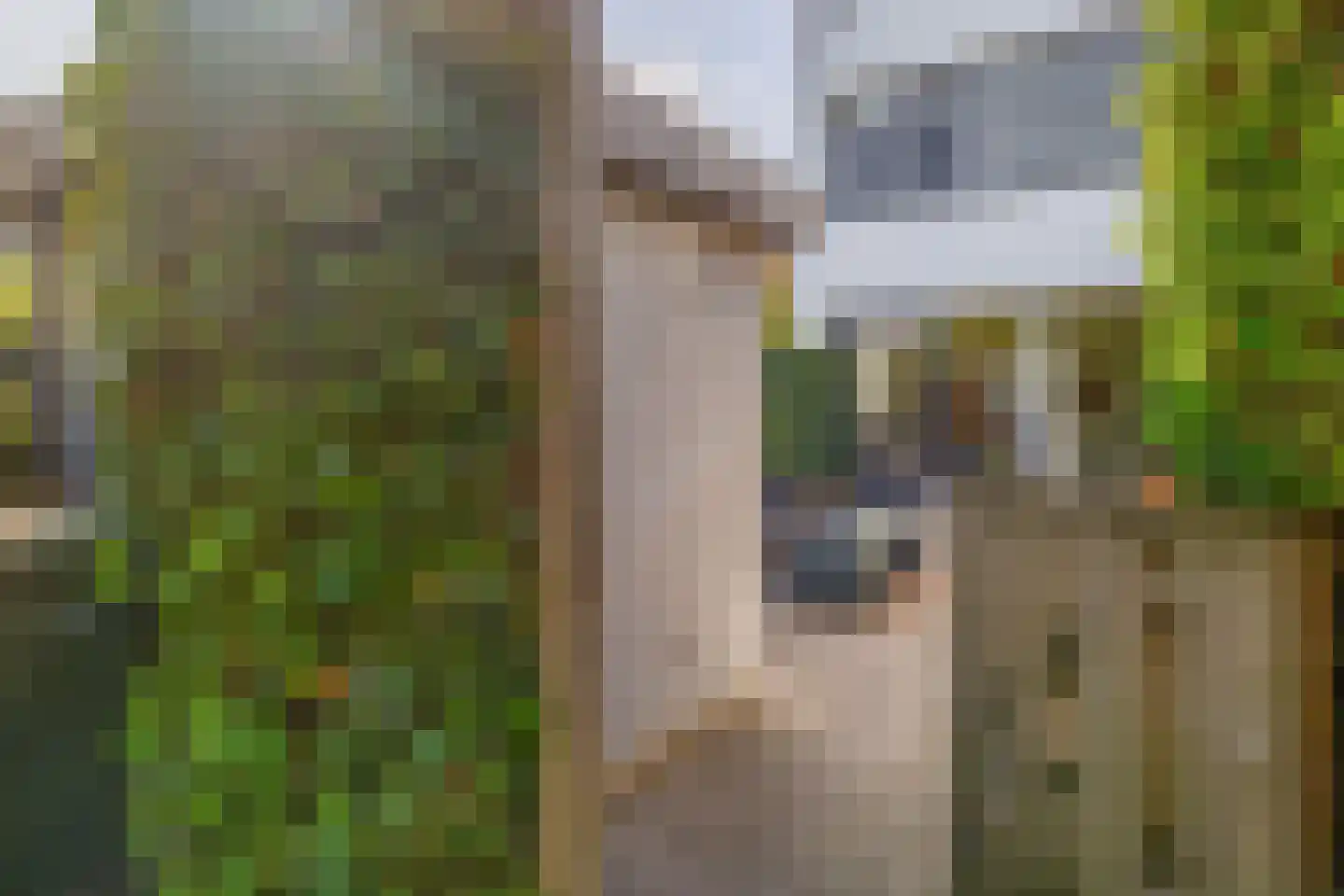Formenterastraat 3 Rotterdam thumbnail 36