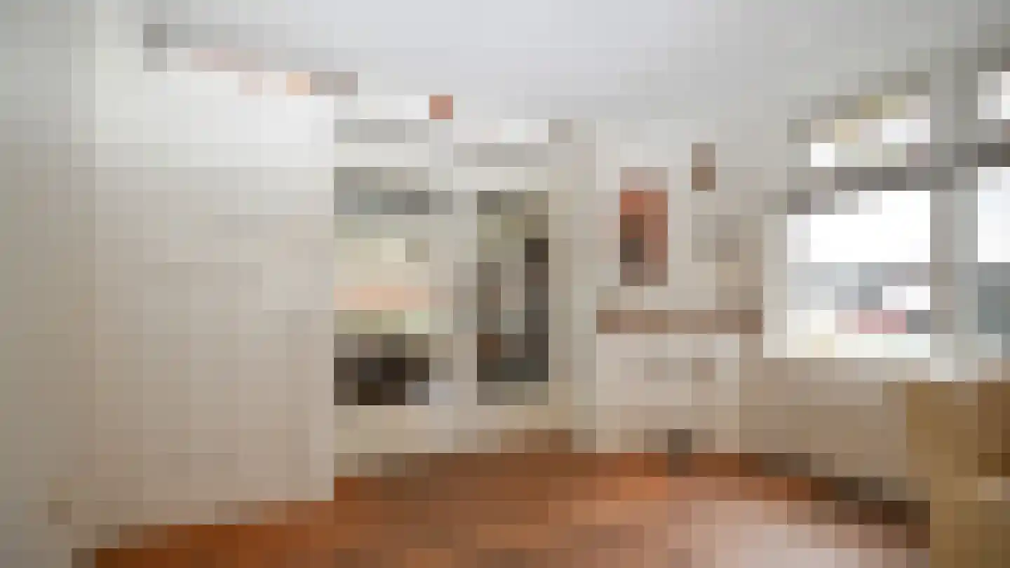 Formerum 36 Formerum thumbnail 11