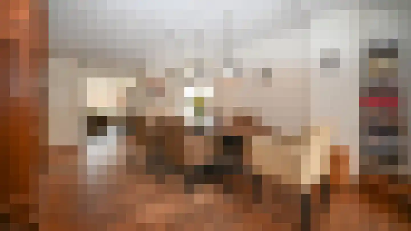 Formerum 36 Formerum thumbnail 13