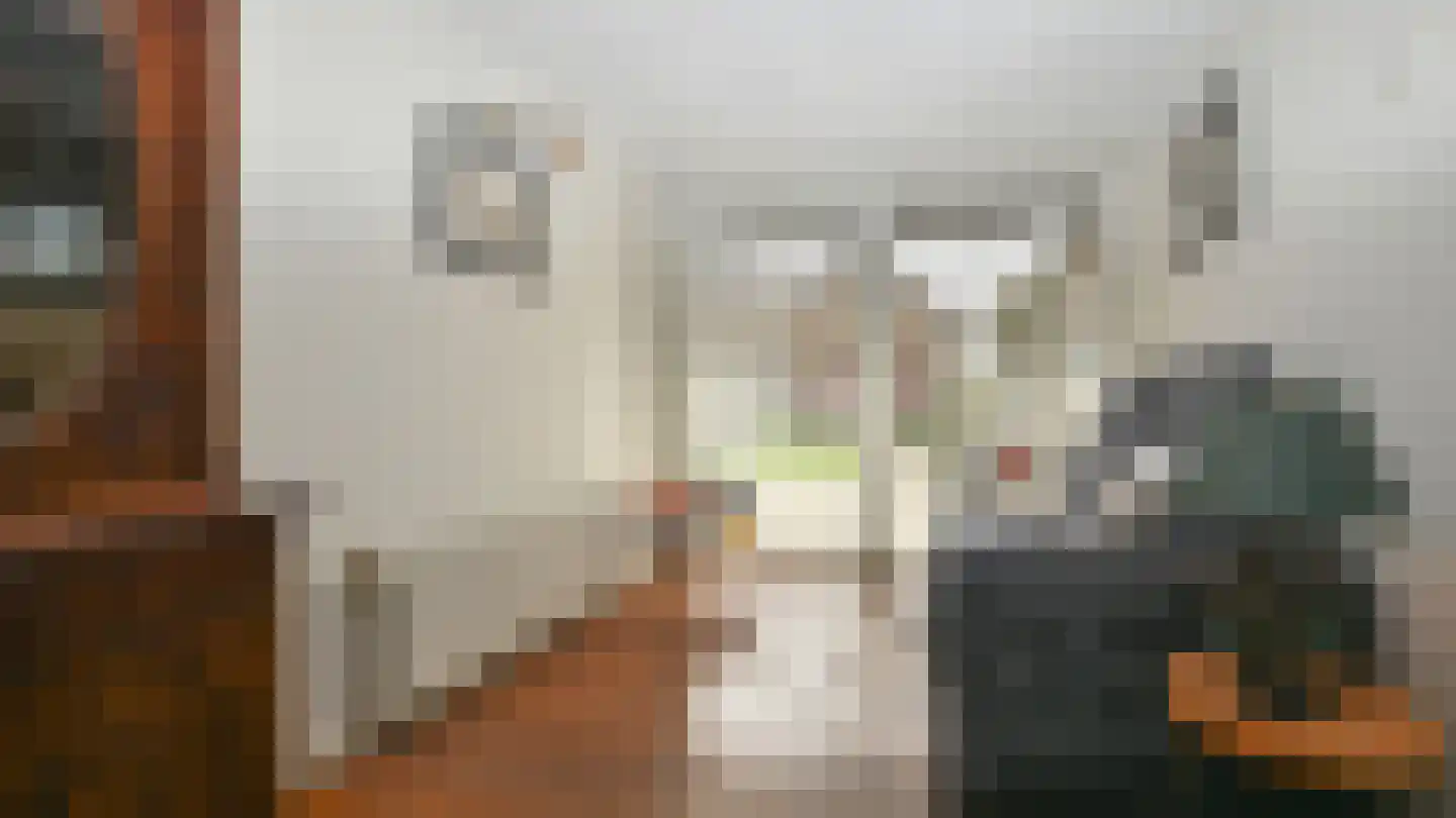 Formerum 36 Formerum thumbnail 15
