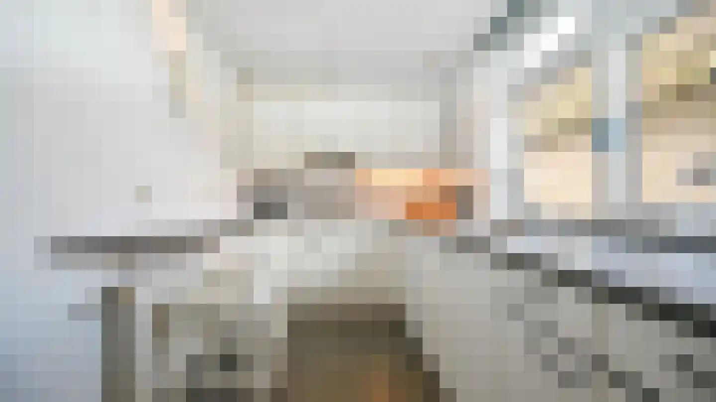 Formerum 36 Formerum thumbnail 17