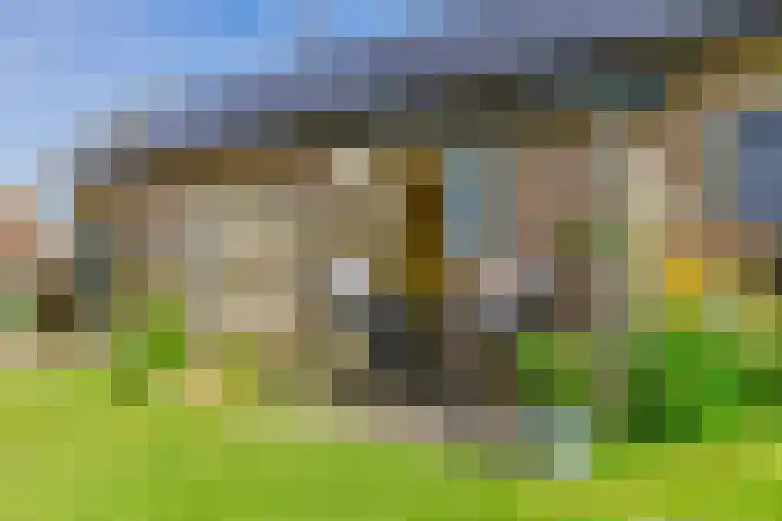 Formerum 36 Formerum thumbnail 46