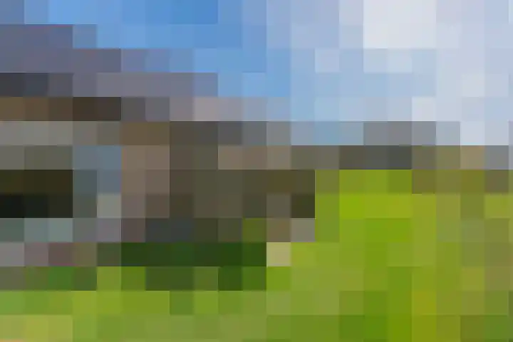 Formerum 36 Formerum thumbnail 47