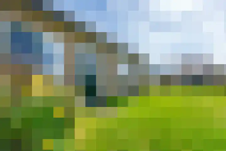 Formerum 36 Formerum thumbnail 51