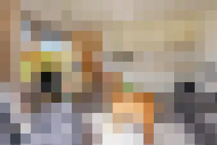Formerum 36 Formerum thumbnail 52