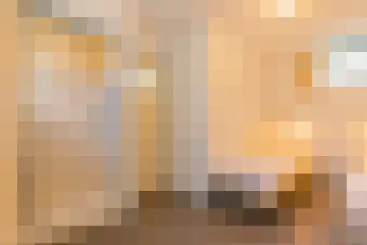 Formerum 36 Formerum thumbnail 61