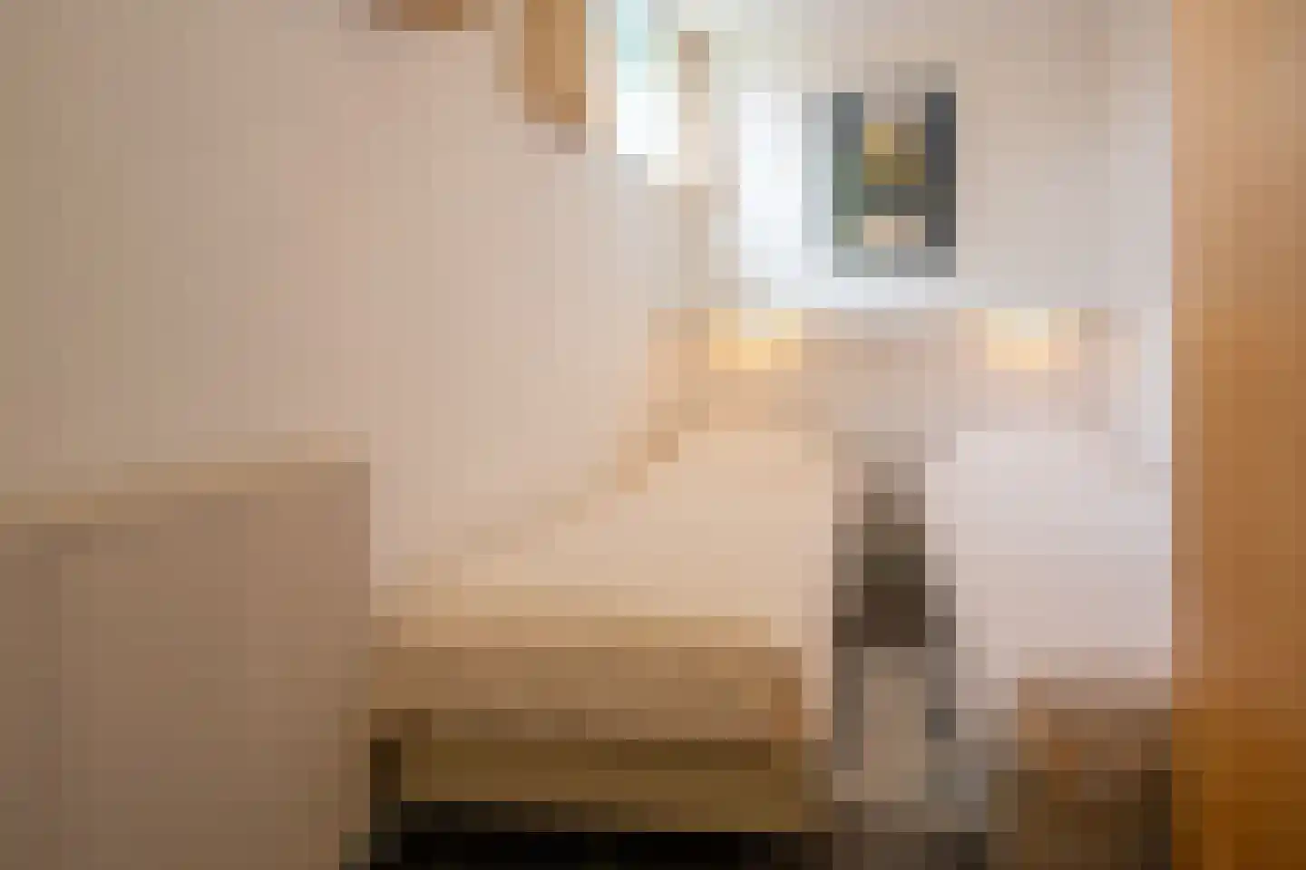 Formerum 36 Formerum thumbnail 62