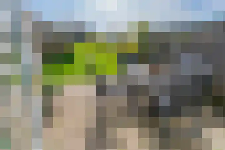 Formerum 36 Formerum thumbnail 63