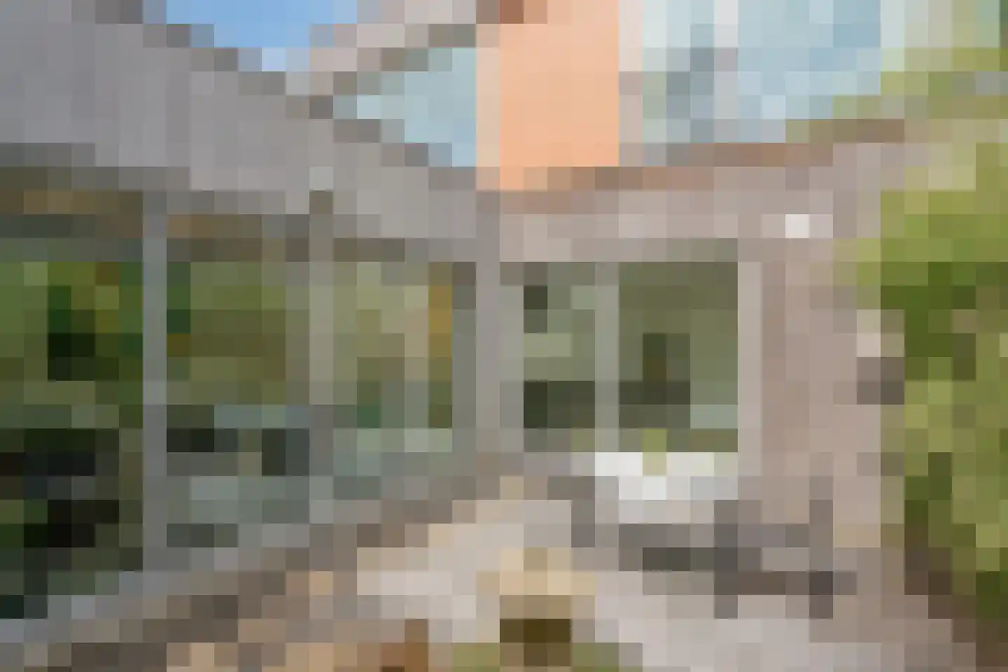 Formosa 2 Zoetermeer thumbnail 13