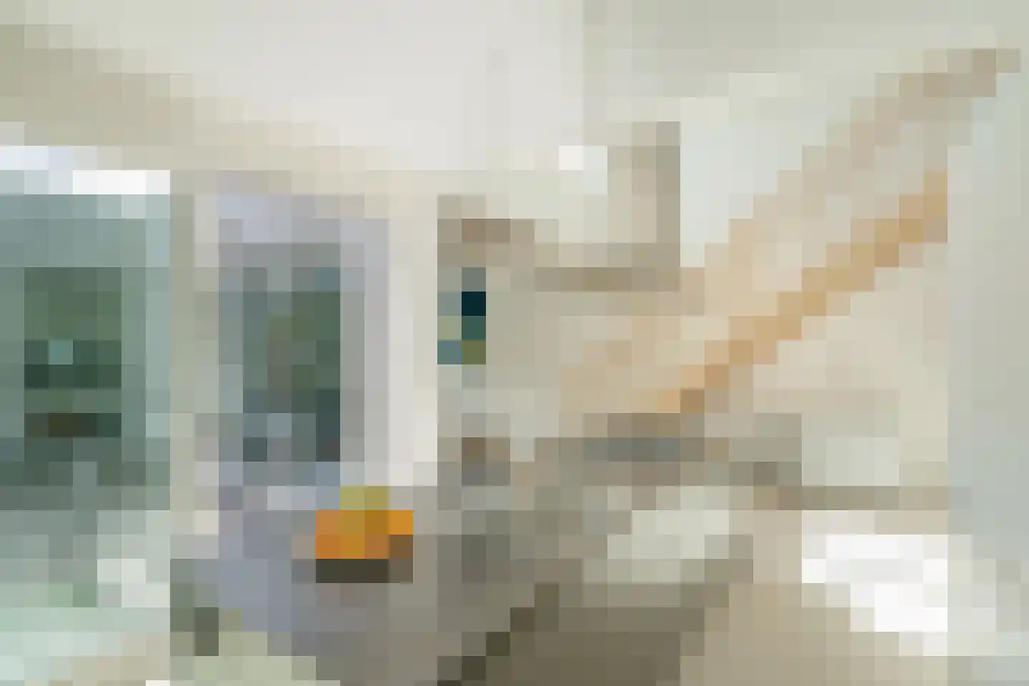 Formosa 2 Zoetermeer thumbnail 19