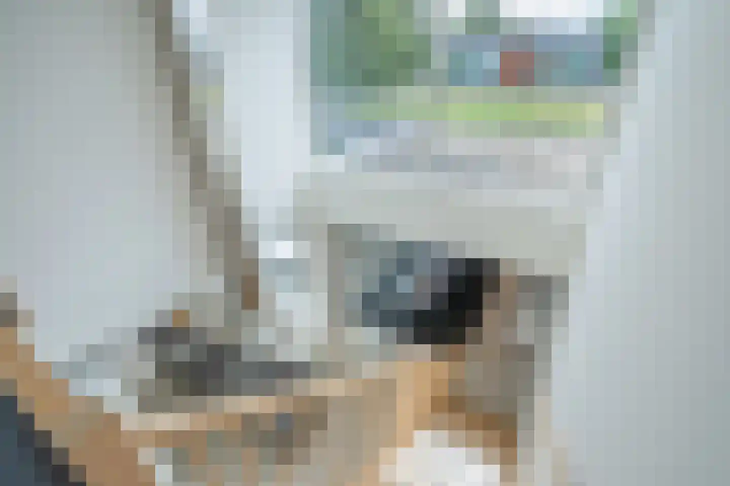 Formosa 2 Zoetermeer thumbnail 29
