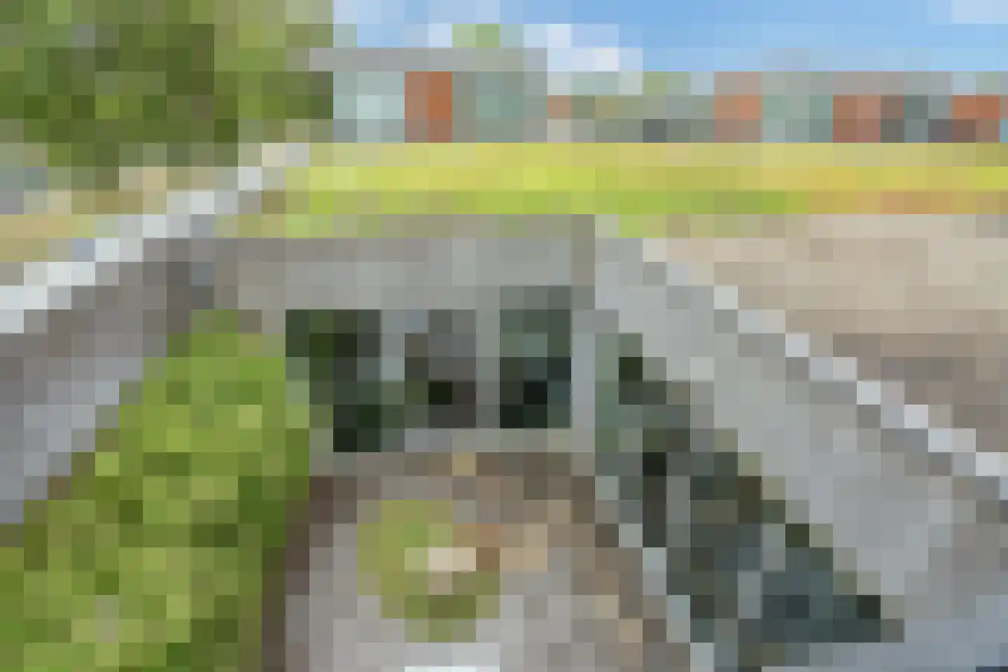 Formosa 2 Zoetermeer thumbnail 31