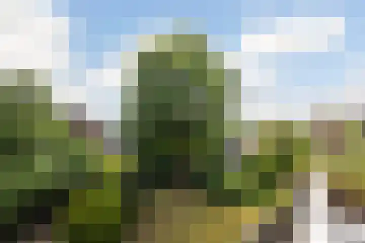 Formosa 24 Zoetermeer thumbnail 10