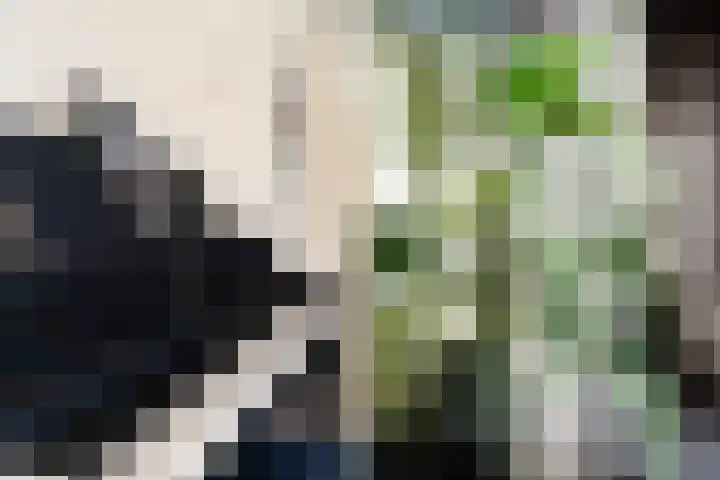 Formosa 24 Zoetermeer thumbnail 18