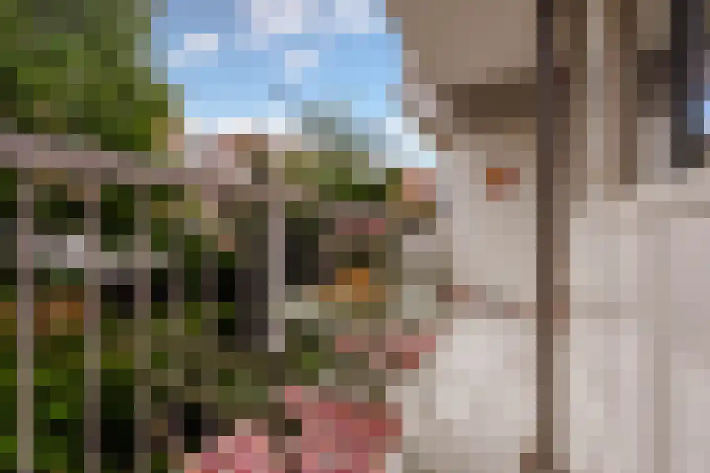Formosastraat 31 Amsterdam thumbnail 29