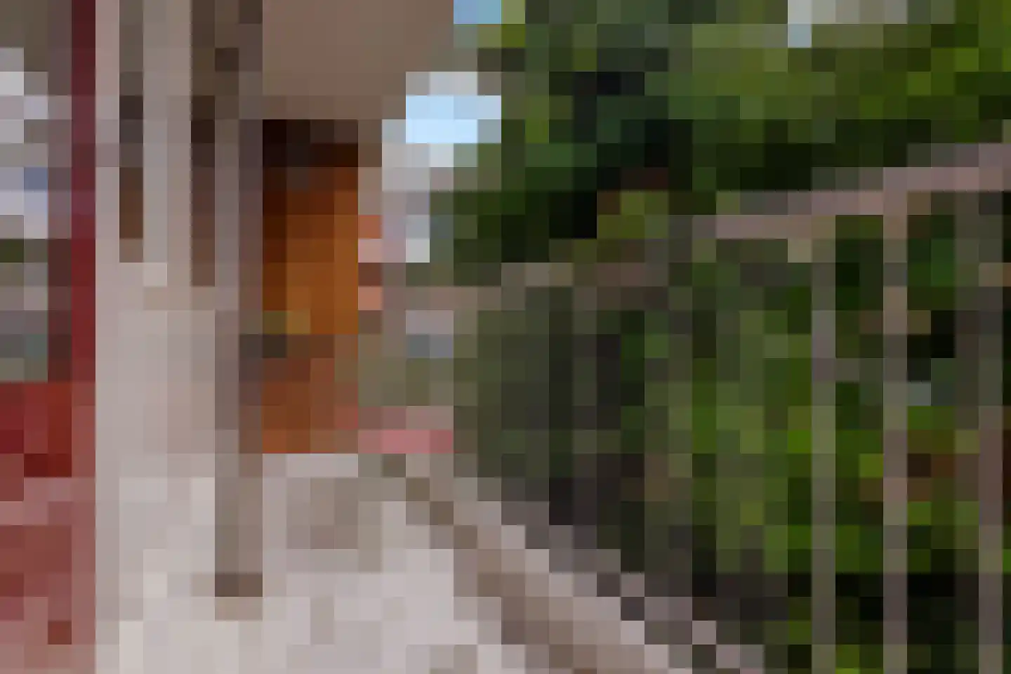 Formosastraat 31 Amsterdam thumbnail 30