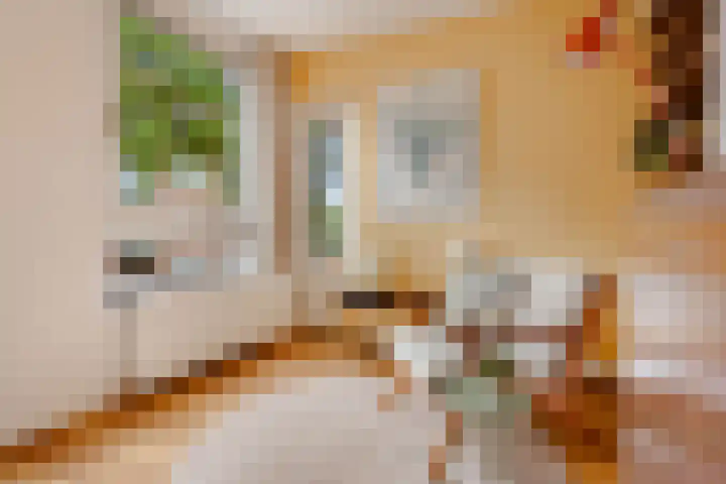 Formosastraat 31 Amsterdam thumbnail 6