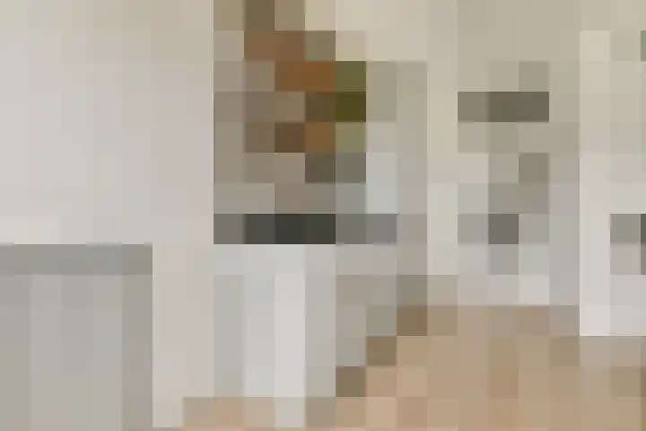Formosastraat 32 Amsterdam thumbnail 9