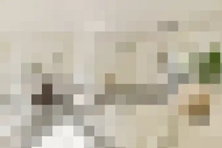 Formosastraat 51 Amsterdam thumbnail 5