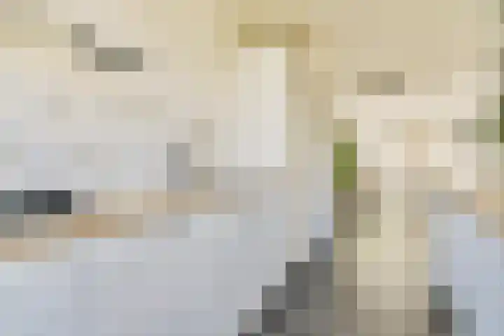 Formosastraat 51 Amsterdam thumbnail 6