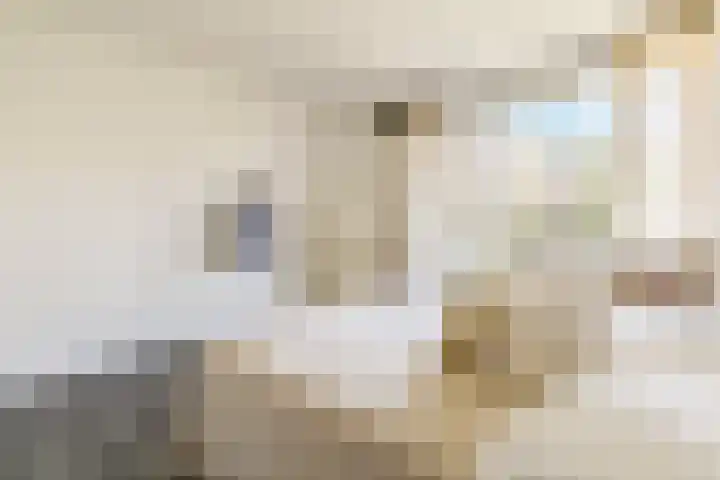 Formosastraat 51 Amsterdam thumbnail 9