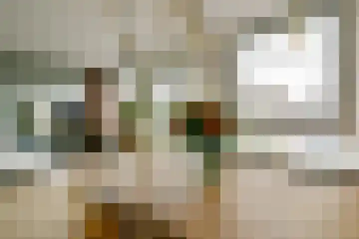 Formosastraat 85 Amsterdam thumbnail 11