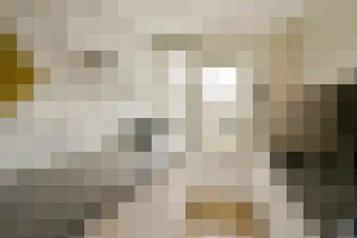 Formosastraat 85 Amsterdam thumbnail 17