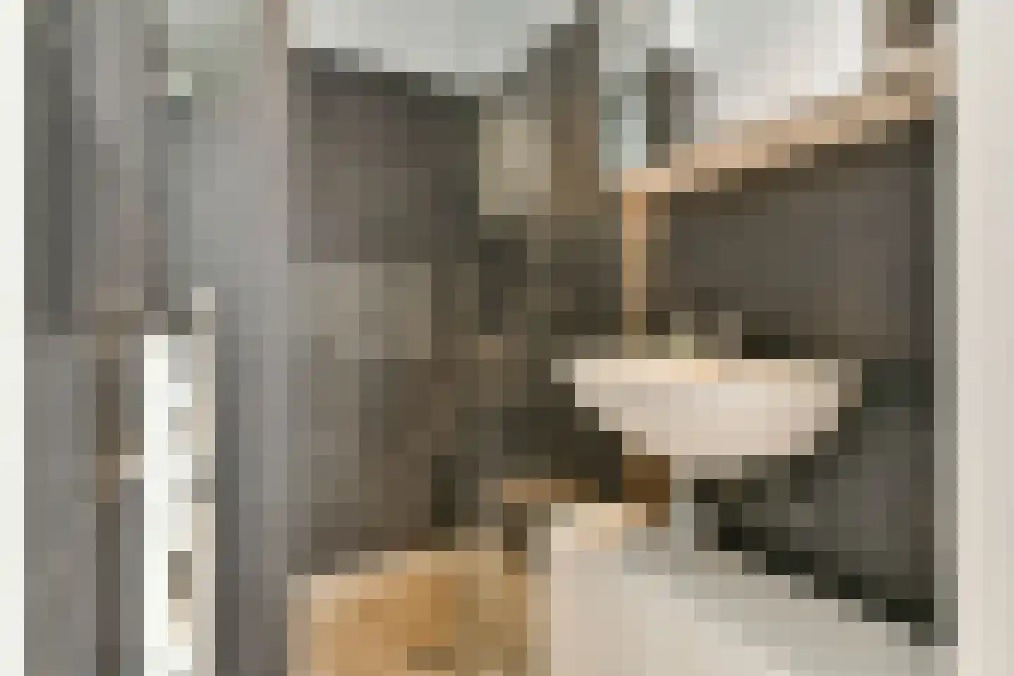 Formosastraat 95 Amsterdam thumbnail 17