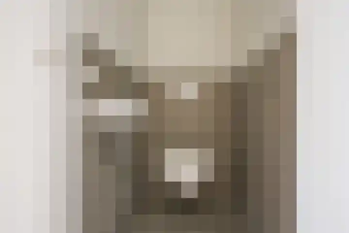 Fornheselaan 12 Den Dolder thumbnail 16