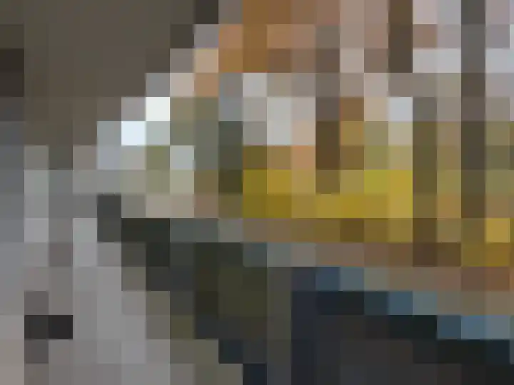Fornheselaan 12 Den Dolder thumbnail 18