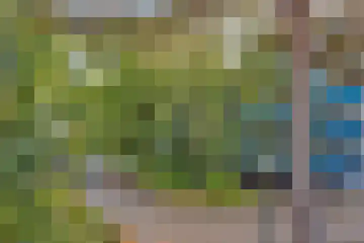 Fornheselaan 12 Den Dolder thumbnail 21