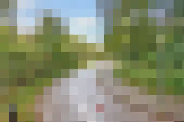 Fornheselaan 12 Den Dolder thumbnail 22