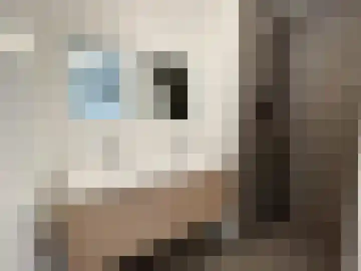 Fornheselaan 12 Den Dolder thumbnail 9