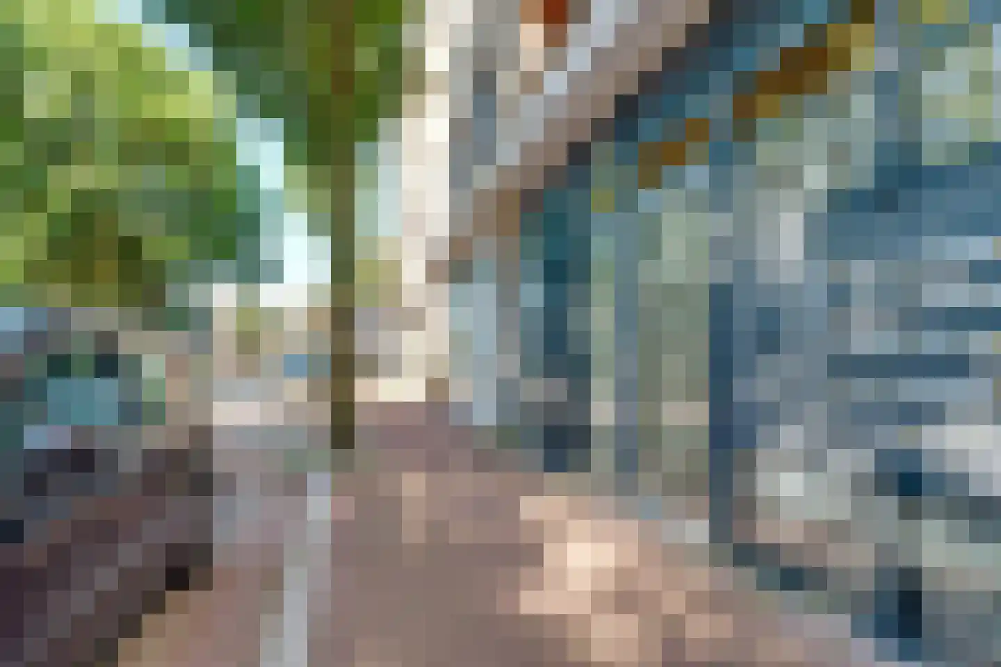 Fornheselaan 2 D Den Dolder foto 3