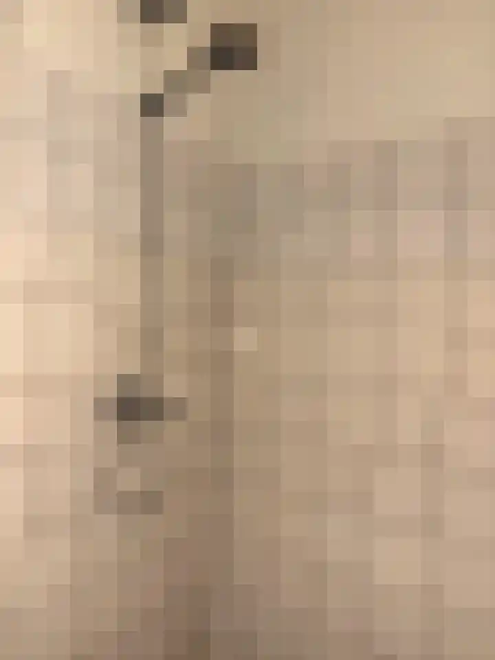 Fornheselaan 30 Den Dolder thumbnail 20