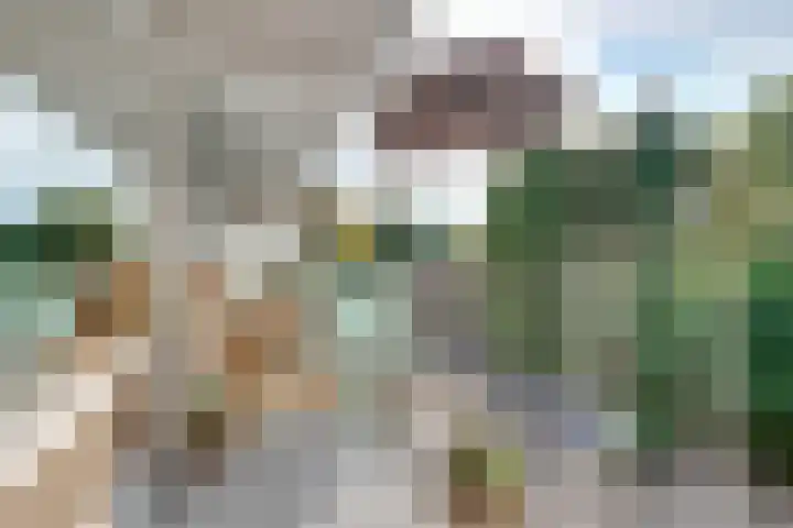 Fornheselaan 66 Den Dolder thumbnail 12