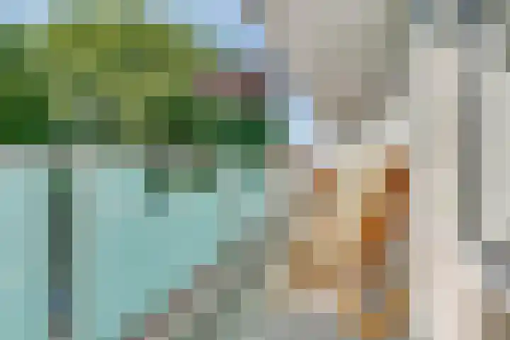 Fornheselaan 66 Den Dolder thumbnail 13