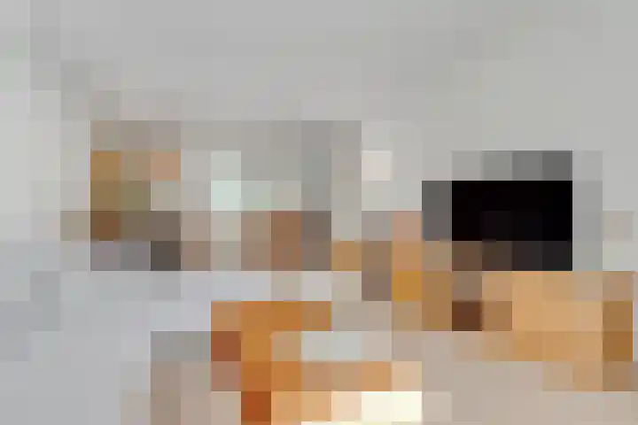 Fornheselaan 66 Den Dolder thumbnail 14