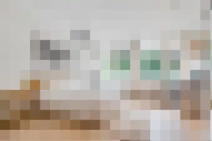 Fornheselaan 66 Den Dolder thumbnail 17