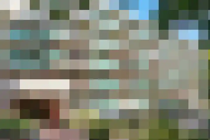 Fornheselaan 66 Den Dolder foto 2