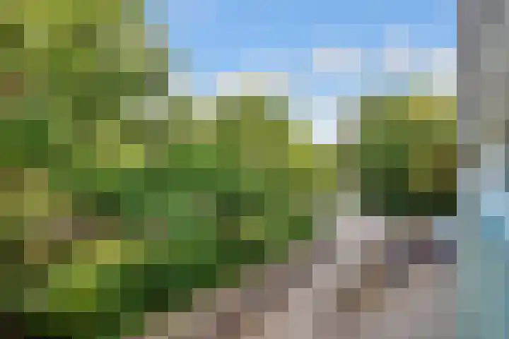 Fornheselaan 66 Den Dolder thumbnail 25