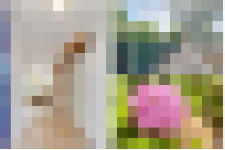 Fornheselaan 66 Den Dolder thumbnail 4