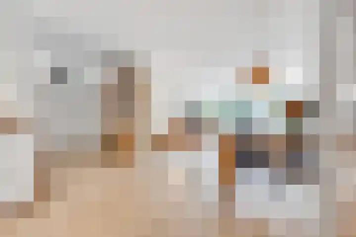 Fornheselaan 66 Den Dolder thumbnail 5